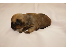 ������� ������ ������.JPG