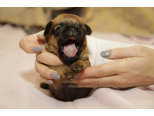 ������� ������ ������.JPG