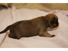 ������� ������ ����.JPG