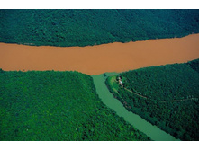 ������� ���� ������� � �� ������� . ��������� ��������, ���������