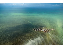 ������� �� ����� � Tongkil. ���������