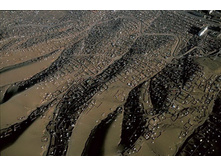 ���� �� ������� ����-������. ��������