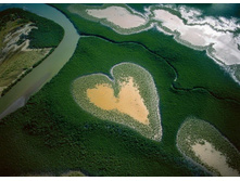 Heart in Voh � ����� ���������