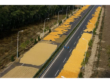 ������� ����� �� ������ � ������������ ������ �������� 