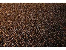 �������� � ������. ������