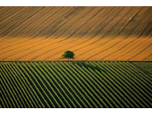 �������������������� �������� ����� ������ ������, �������