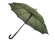 L1010---������, �������.