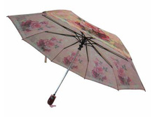 0076--3 ��������, �������.  