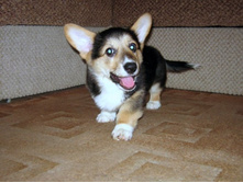 ����������� 132.jpg