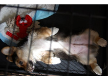 ����������� 015.jpg