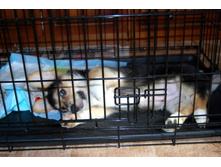 ����������� 016�.JPG