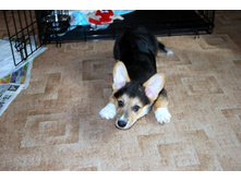 ����������� 017.jpg