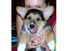 ����������� 0131.jpg