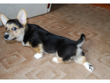 ����������� 018�.jpg