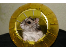 � ������