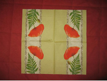 IMG_6260 (Large).JPG