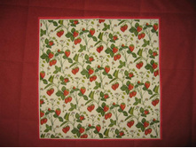 IMG_6265 (Large).JPG