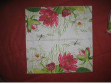 IMG_6308 (Large).JPG