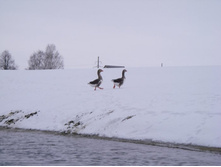 \"���� � ������ ��� ��ӣ��� ����...\"