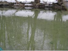 ���������� ����. ������� ����� �����