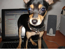 ���� �����