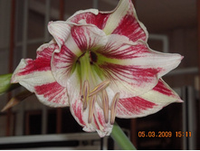 DSCN0078.jpg