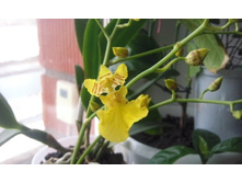 ����������� 004.jpg