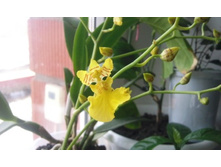 ����������� 005.jpg