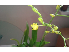 ����������� 004.jpg