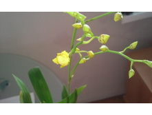 ����������� 003.jpg