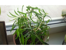 ����������� 006.jpg