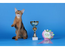 ����������� 056.jpg