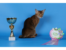 ����������� 073.jpg