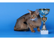 ����������� 070.jpg