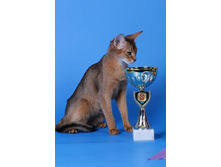 ����������� 065.jpg