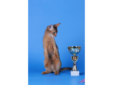 ����������� 045.jpg