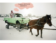 2645685 �����.jpg