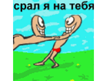 foto_65473.gif