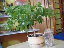 IMG_7112-������ � �����.jpg