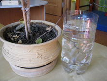 IMG_7110-������� ������.jpg