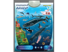 462,88�.����������� ������ ��������� ���.jpg