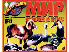 293,7�.��� ������ � ���� �-�� (���) � 125�.jpg