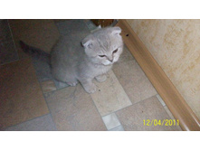 ����������� 084.jpg