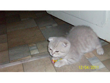 ����������� 089.jpg