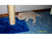 ����������� 072.jpg