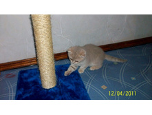 ����������� 073.jpg