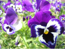 ����������