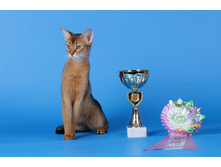 ����������� 057.jpg