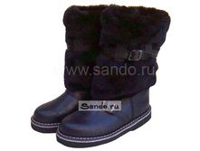 ���� �/������� �20-1 ���. 