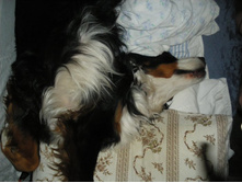 IMGP0972.JPG